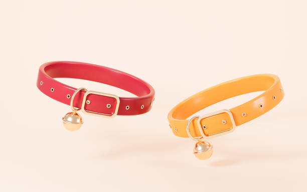 istock Cartoon pet collar in the white background, 3d rendering. 2162729086