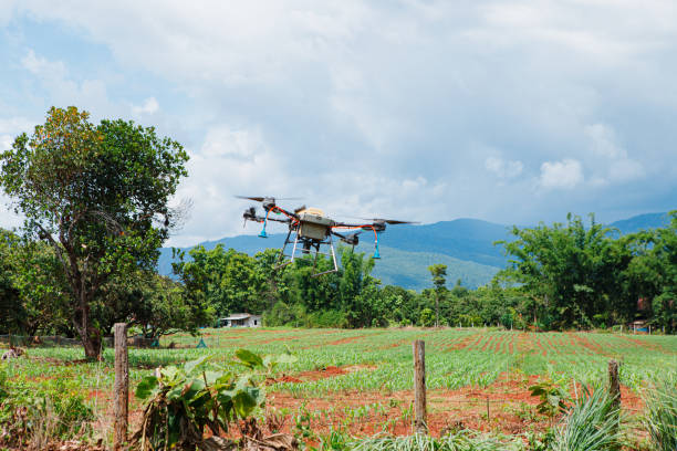 istock Agriculture drone fly to sprayed fertilizer on the green corn fields 2162731122