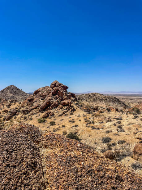 istock Joshua tree national park 2162739713