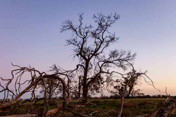 Swan Hill and soround rural Victoria, Australia