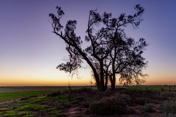 Swan Hill and soround rural Victoria, Australia