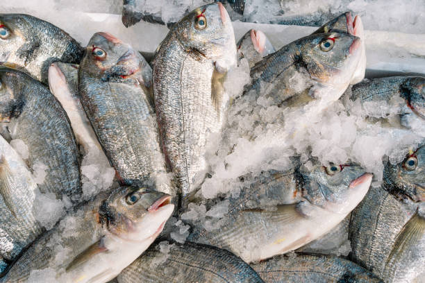 istock Fresh raw fish at the market 2162750686