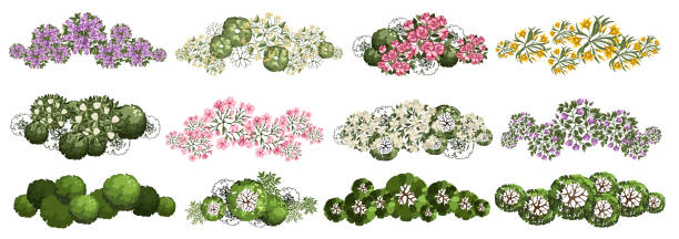 istock Blossom Trees for architectural floor plans. Entourage design. Various trees, bushes, and shrubs, top view for the landscape design plan. Vector illustration. 2162750947