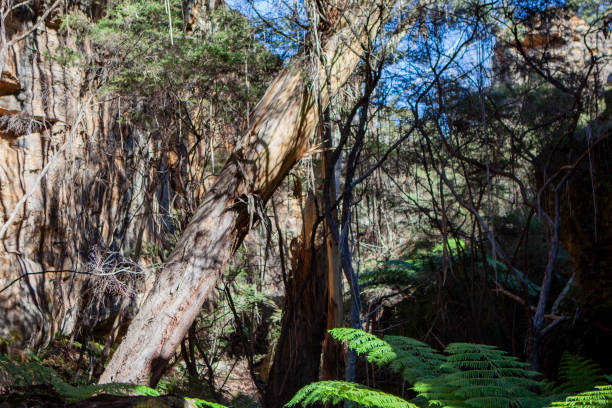 Gardens of Stone National Park, Central Tablelands, New South Wales in eastern Australia