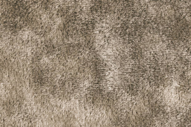 istock Faux fur texture, fluffy velours brown fabric or cloth, upholstery textile 2162755437
