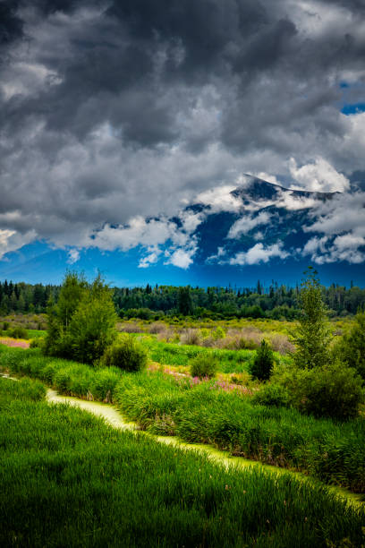 grassland in British Columbia in Canada