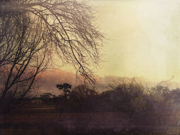 istock Vintage Winter Countryside Landscape 2162758284