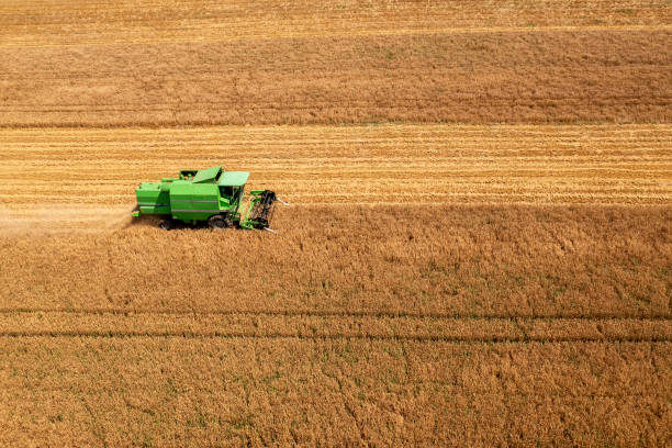 istock Combine harvesting wheat field 2162761218