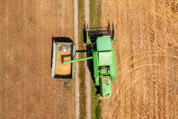 istock Combine harvester filling trailer with grain 2162762021