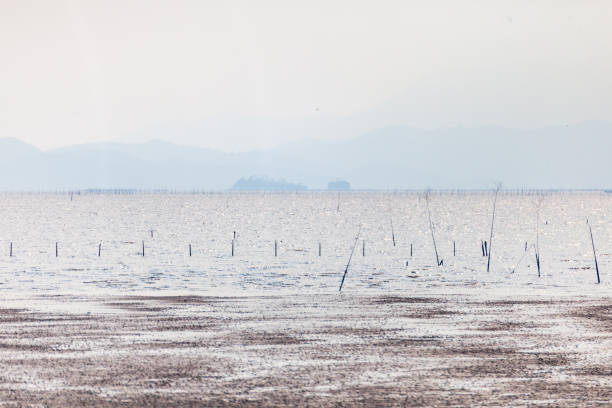 a view of the sea with mudflats