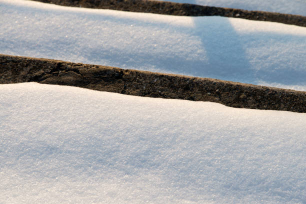 winter landscape