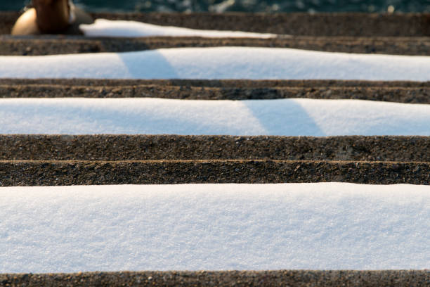 winter landscape