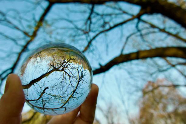 istock Hand holding crystal ball with trees background during autumn 2162768548