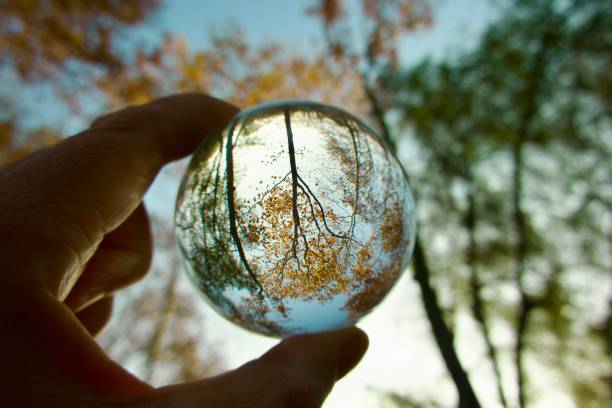 Hand holding crystal ball with trees background during autumn
