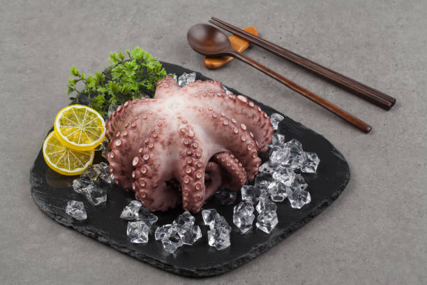 A mollusk of the octopus family. The body is about 3 meters long from tip to toe, and is reddish-brown with a light-colored net-shaped pattern, and its body color changes depending on the environment. a mollusk of the octopus family. the body is about 3 meters long from tip to toe, and is reddish-brown with a light-colored net-d pattern, and its body color changes depending on the environment. the body is ball-d and has many papillae on the b