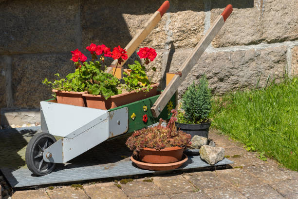 An empty, dirty wheelbarrow resting on a wooden surface in a garden. The wheelbarrow shows signs of wear with dirt and stains inside, surrounded by green grass and garden tools in the background.