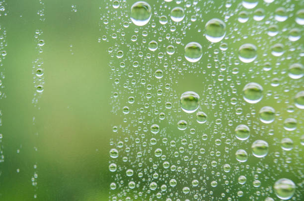 Water droplets after rain day with blurred green nature background.