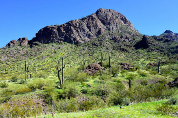 istock Sonora Desert Arizona Picacho Peak State Park 2162778481