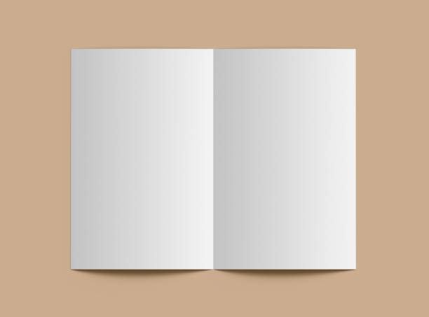 istock Customizable Half Fold 8x11 letter brochure mockup to present your design. 3d render 2162779604
