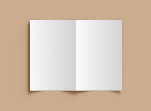 istock Customizable Half Fold 8x11 letter brochure mockup to present your design. 3d render 2162779618