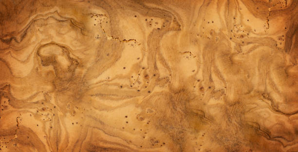 Olive Wood Texture Background, Solid Wooden Burr or Burl Pattern, Burled Wood Wallpaper with Copy Space