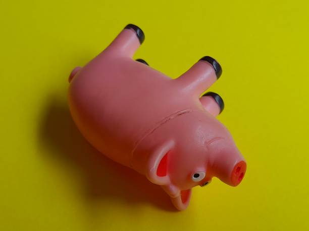 Money piggy bank.