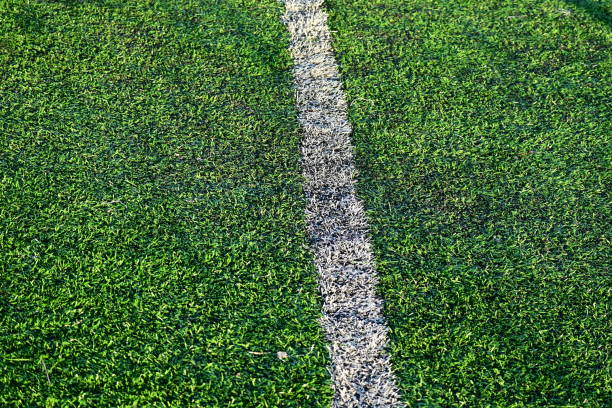 White painted line on vibrant green grass - sports field marking in focus - background blurred. Taken in Toronto, Canada.