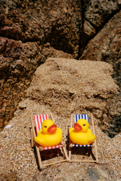Two rubber ducks in wooden deckchairs at the beach on a sunny day.