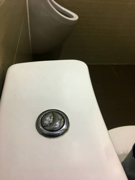istock Toilet bowl flushing button. 2162799939