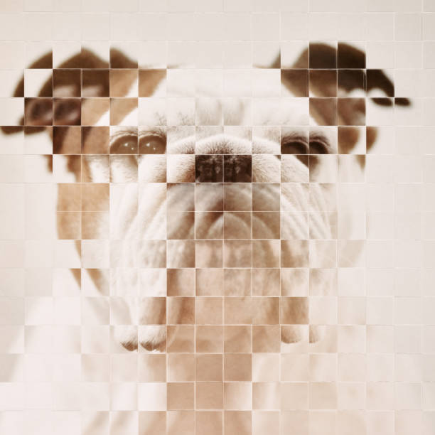 Broken image, diffracted through pixelated glass, of a dog, that becomes an avatar in the virtual reality. CGI and real photo