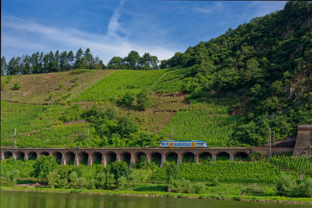Puenderich, Germany – July 18, 2024: The train „Moselweinbahn“ going along the Mosel. From Bullay to Traben-Trarbach