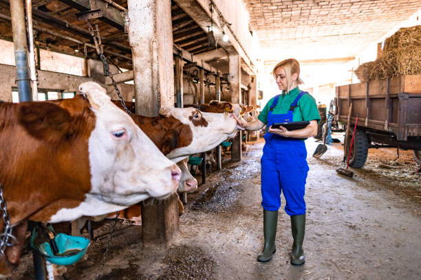 istock A day on the farm 2162805567