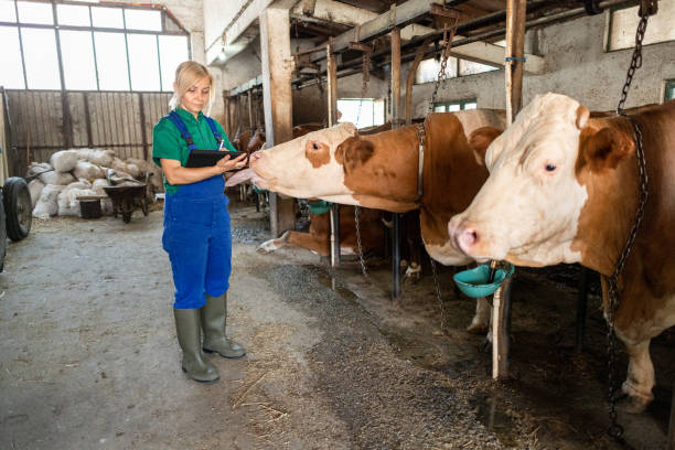 istock A day on the farm 2162806003
