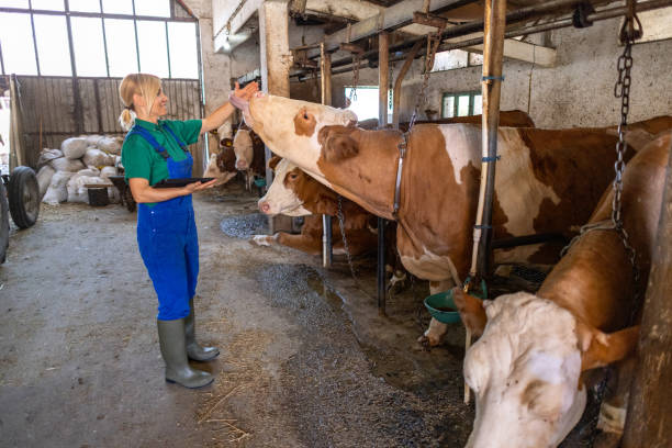 istock A day on the farm 2162806145