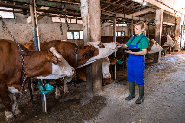 istock A day on the farm 2162806356