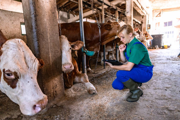 istock A day on the farm 2162806598
