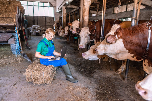 istock Female worker in blue green uniform sitting on a hay bale 2162806650