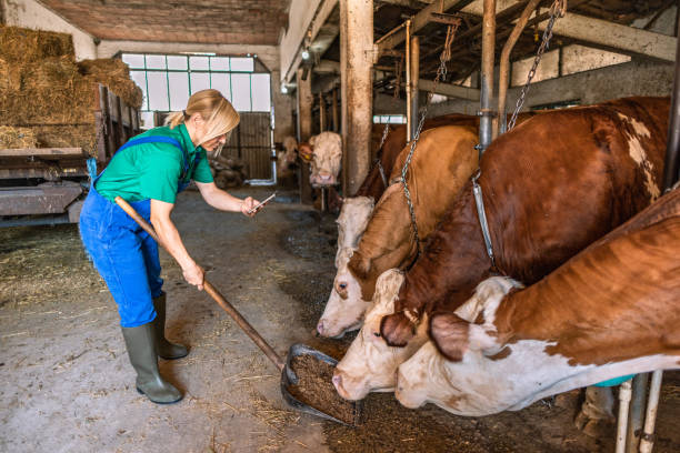 istock Female farmer on the farm 2162807462