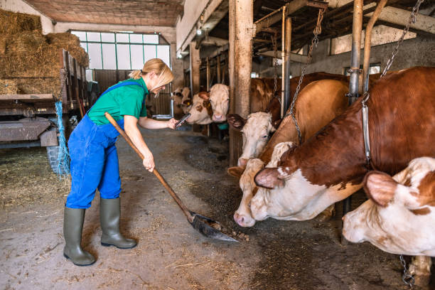istock Female farmer on the farm 2162807524