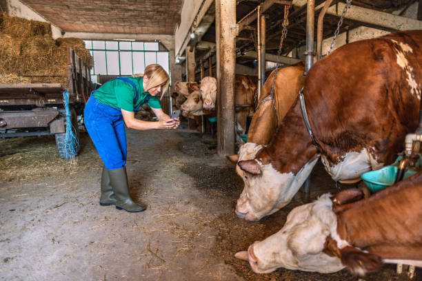 istock Female farmer on the farm 2162807535