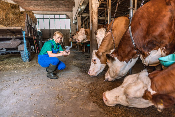 istock Female farmer on the farm 2162807536