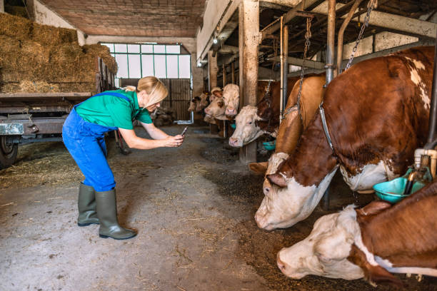istock Female farmer on the farm 2162807566