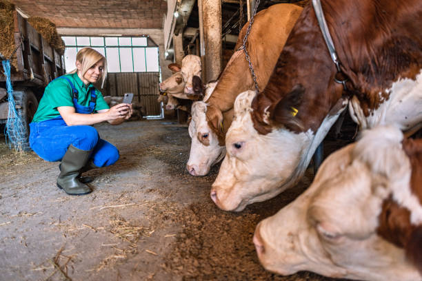istock Female farmer on the farm 2162807584