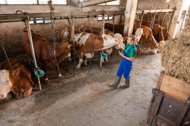 istock Female farmer on the farm , security camera view 2162807625