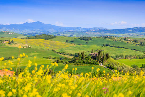 istock Tuscany, Italy. 2162808234
