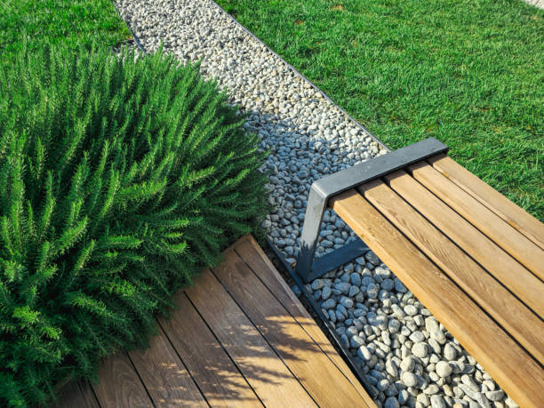 istock A typical green garden of a house 2162808461