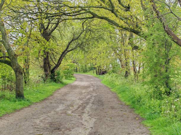 istock English Countryside 2 2162812234