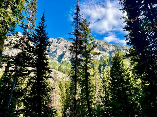 istock Jackson Hole Yellowstone National Park Grand Tetons 2162814052