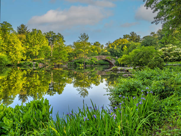istock Gapstow Bridge in Central Park in late spring 2162815057