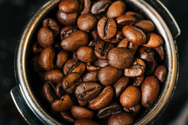 Fresh coffee beans in a portafilter ready to  be grinded in a coffee grinder